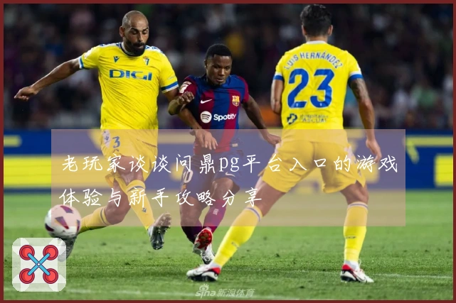 老玩家谈谈问鼎pg平台入口的游戏体验与新手攻略分享